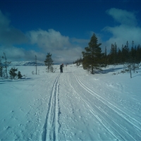 Stefan Ångström