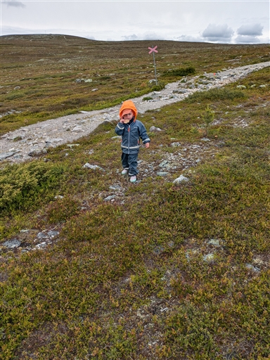 Bild uppladdad av Torbjörn Westman