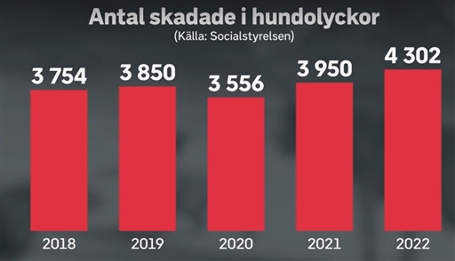 Bild uppladdad av Anonymiserad