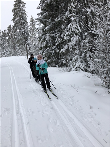 Bild uppladdad av Elias